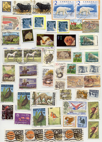 Mammals