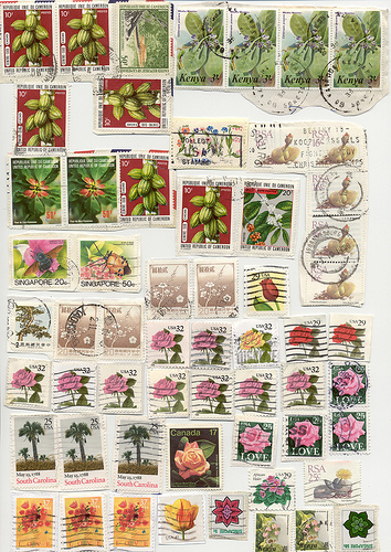 Plants, Flowers
