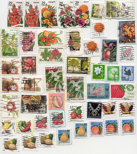 flowers, fruit, berries